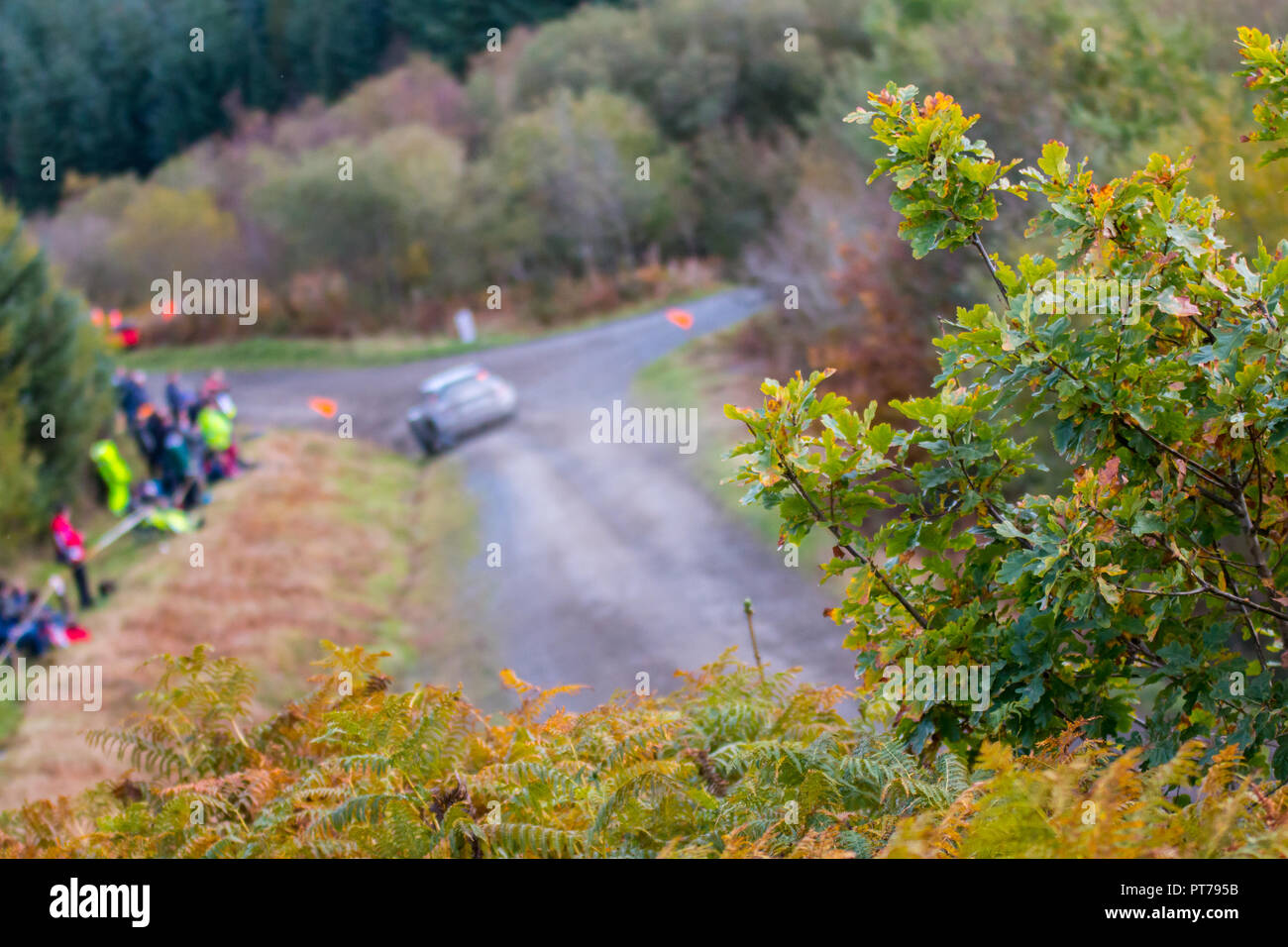 Dyfnant, UK. 6. Oktober 2018. Der Wald um Dyfnant bieten die spektakuläre Kulisse mit Stufe 14 der 2018 Dayinsure Wales Rally von Großbritannien, der 11. Runde des 2018 Credit: Mike Hillman/Alamy leben Nachrichten Stockfoto