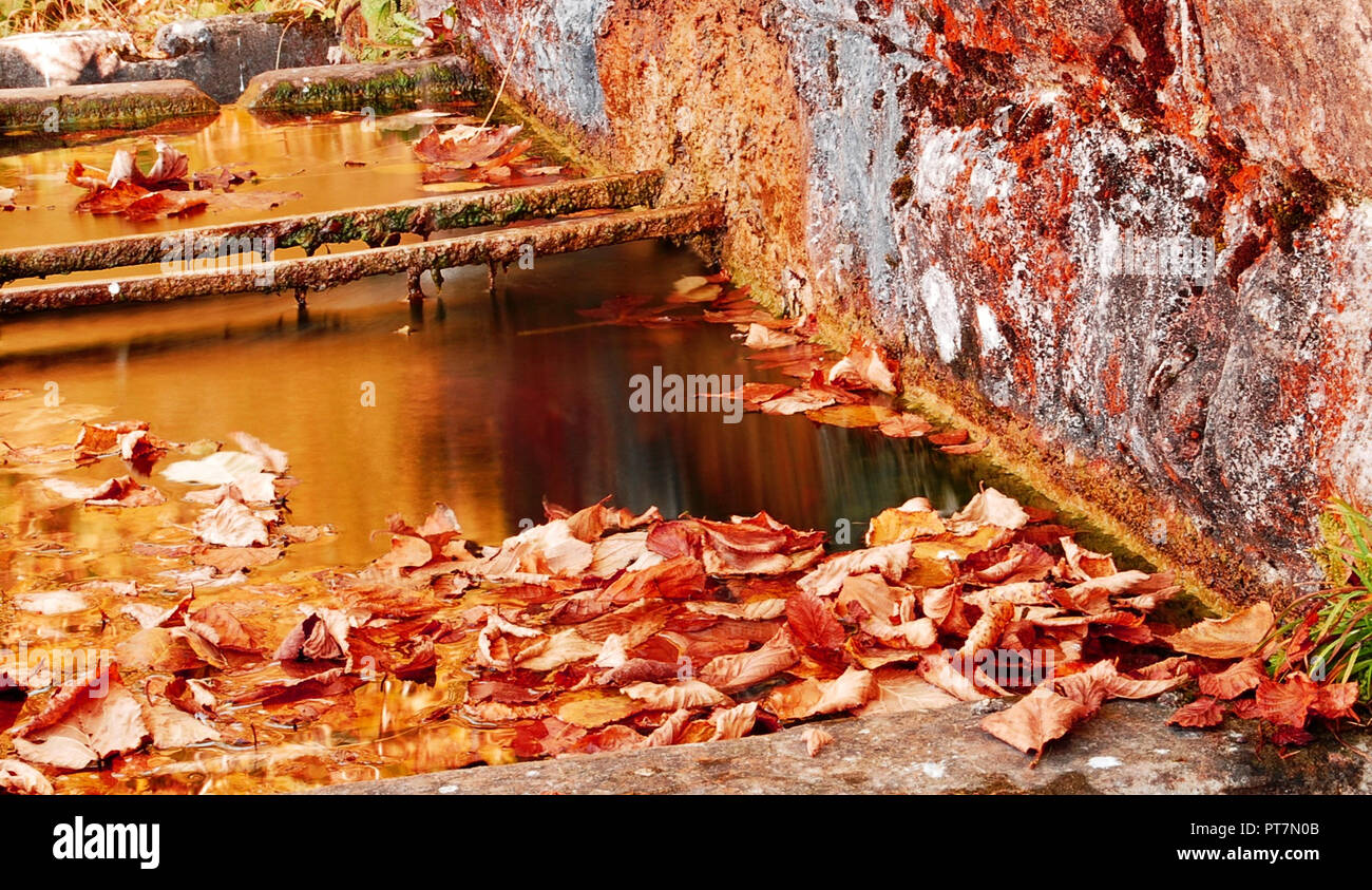 Herbst in der Provinz von Belluno Stockfoto