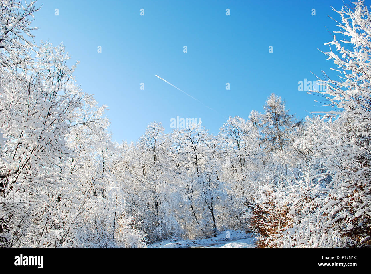 Winter in Valle di Cadore, in der Provinz von Belluno Stockfoto