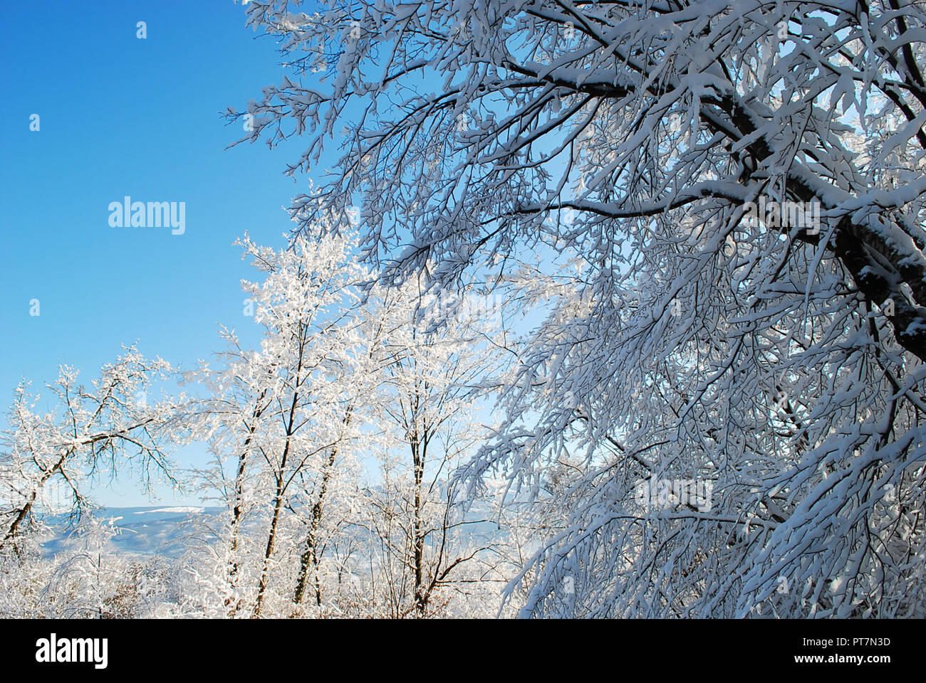 Winter in Valle di Cadore, in der Provinz von Belluno Stockfoto