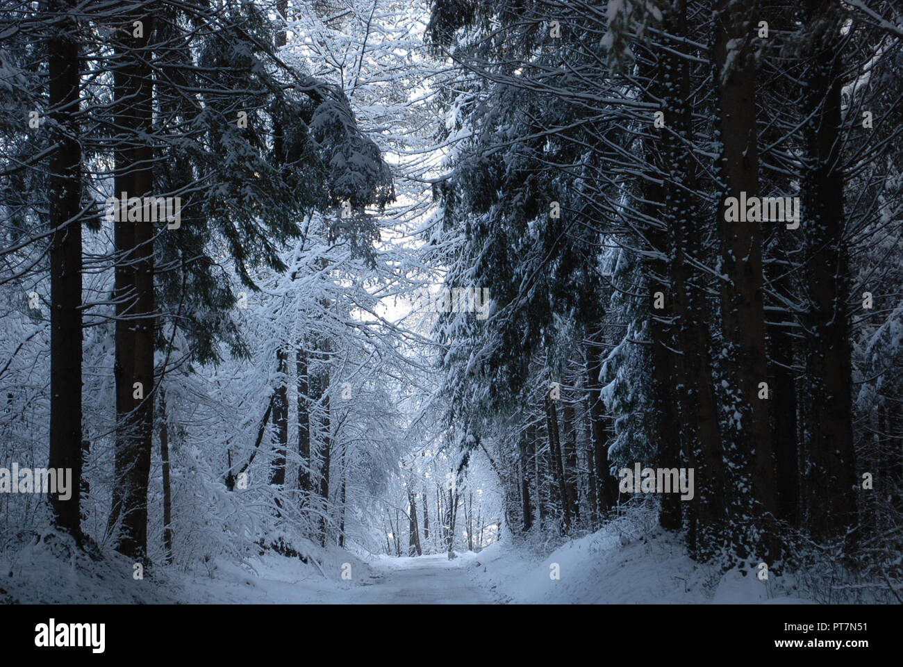 Winter in Valle di Cadore, in der Provinz von Belluno Stockfoto