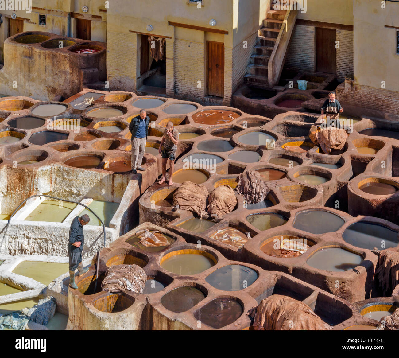 Marokko Marrakesch LEDERGERBEREI viele Fliesen- Fässern mit bunten Farben und blendet und Gerber Stockfoto