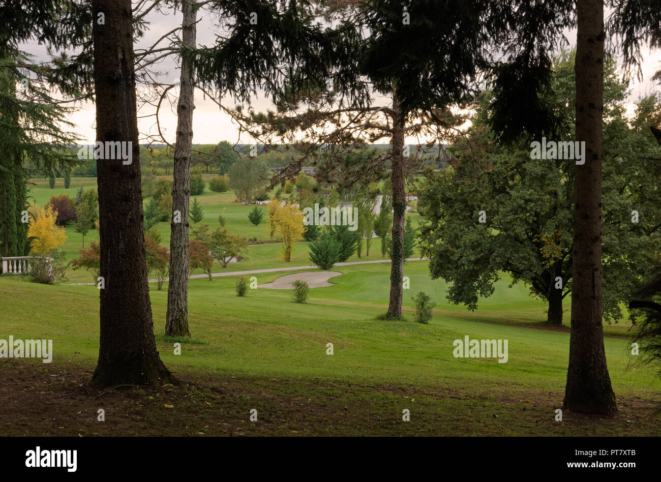 Herbst Blick auf einen kleinen Wald mit Blick auf den Golfplatz Stockfoto