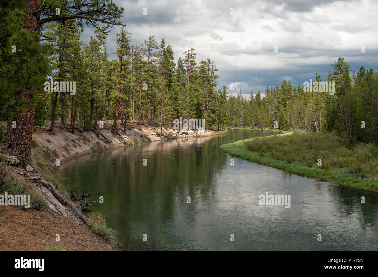 Der Deschutes River Schnitte durch eine dicke Schicht vulkanischer Asche nur oben Pringle fällt, in der Nähe von LaPine, Oregon Stockfoto