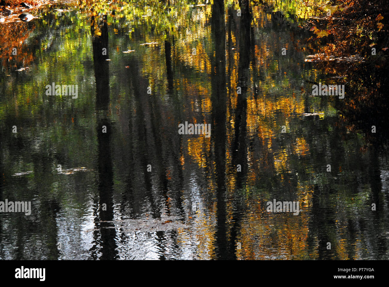 New England Leaf Peeping - eine schöne Reflexion der Herbstfarben in Connecticut Stockfoto