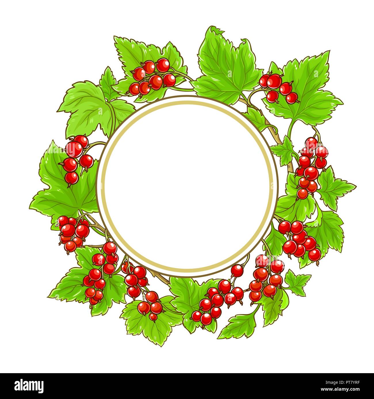 Rote Johannisbeere vektor Rahmen auf weißem Hintergrund Stock Vektor