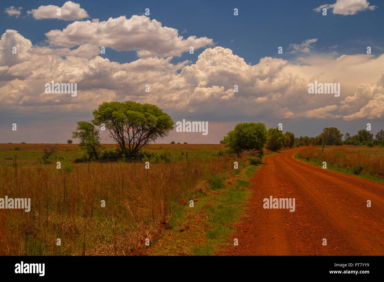 "Vredefort Dome" Landschaft in der Nähe der Stadt Parys in ländlichen Freestate Provinz von Südafrika Bild mit Kopie Raum Stockfoto