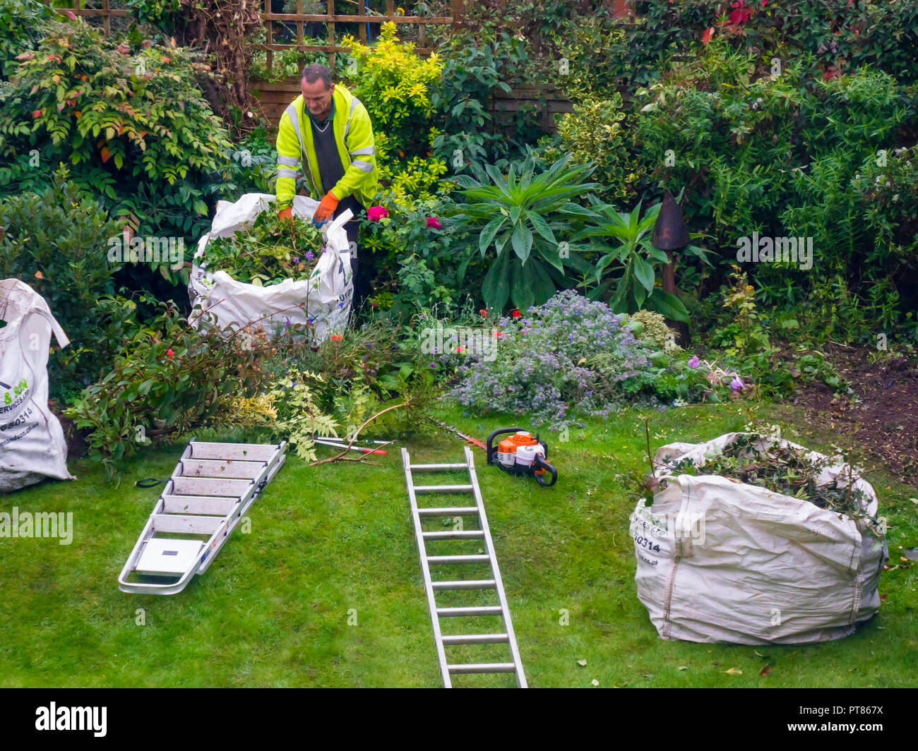 Eine Professionelle Gartner Und Baum Chirurg Abraumen Clippings