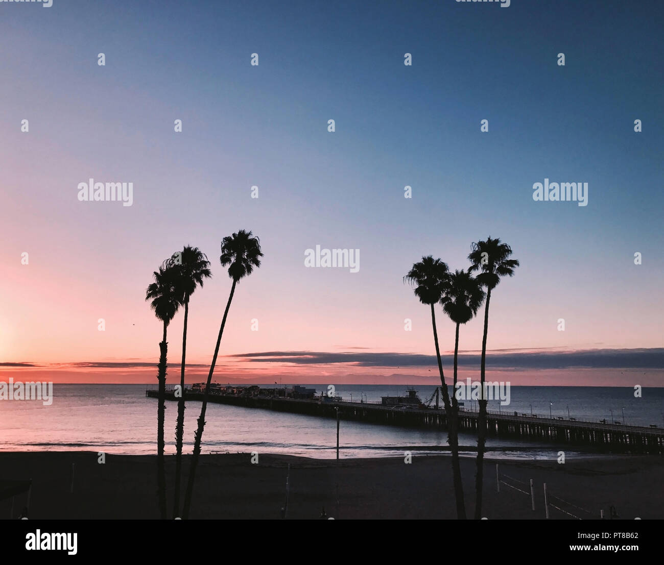 Sunsetting auf Palmen gesäumten Strand und Pier, in Santa Cruz, Caifornia Stockfoto