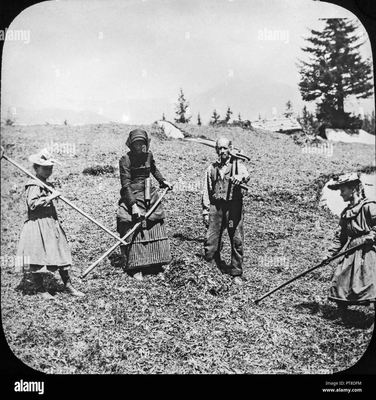 Späten viktorianischen Foto, ein Mann und drei Frauen Heuernte in einem Feld in England. Stockfoto