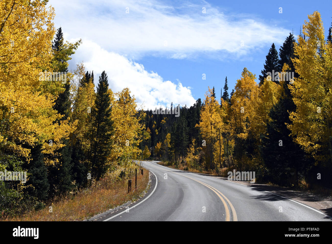 Colorado eine kurvenreiche Landstraße Stockfoto