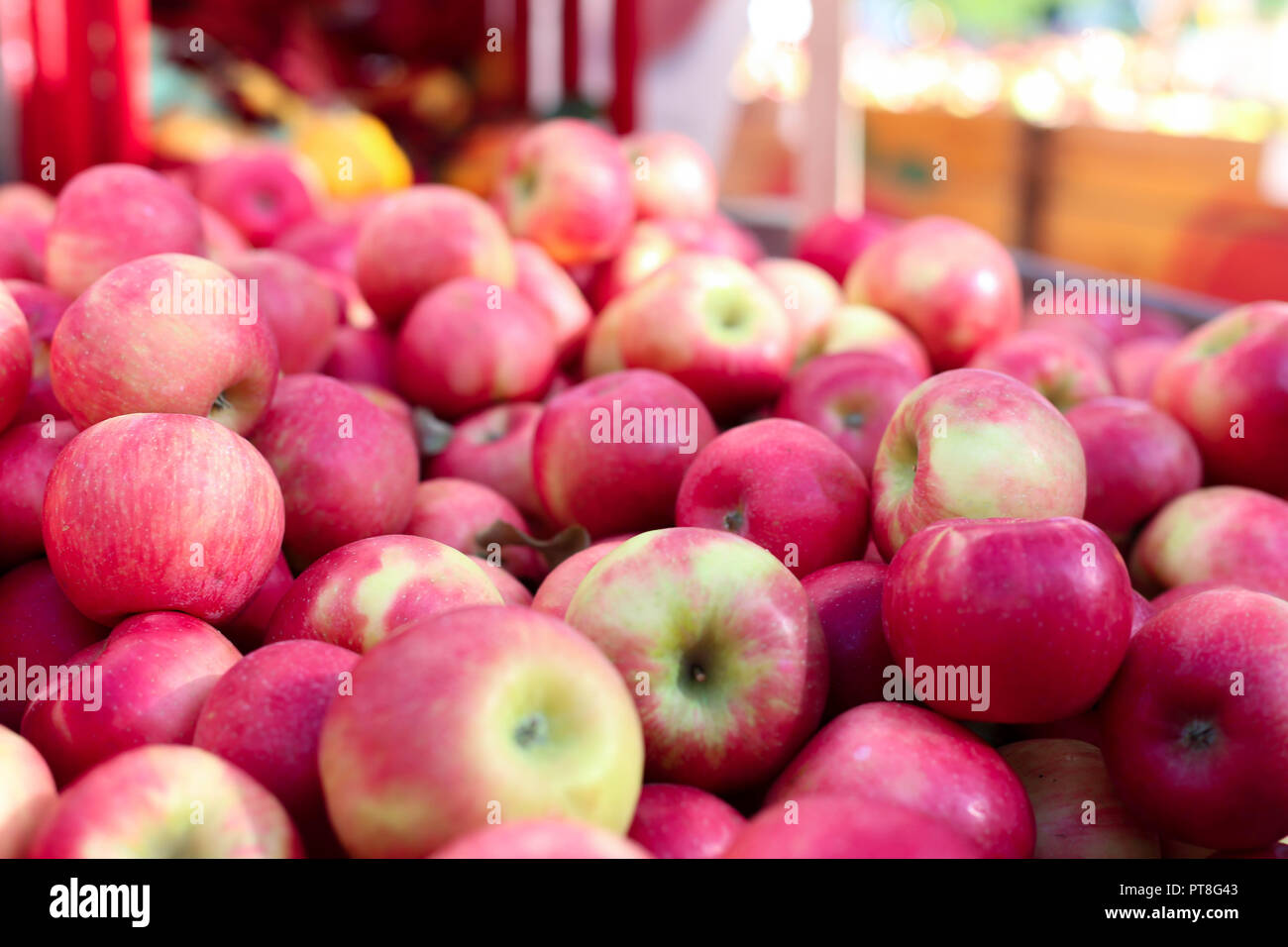 Honig knackige rote Äpfel Obst Hintergrund gesunden Markt mit frischen Lebensmitteln Natürliches Licht Fotografie Stockfoto