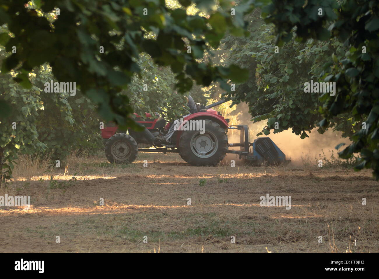 Williger Junge, der auf seinem Feld am Traktor arbeitet und Vorkehrungen zum Schutz seiner Lunge trifft Stockfoto
