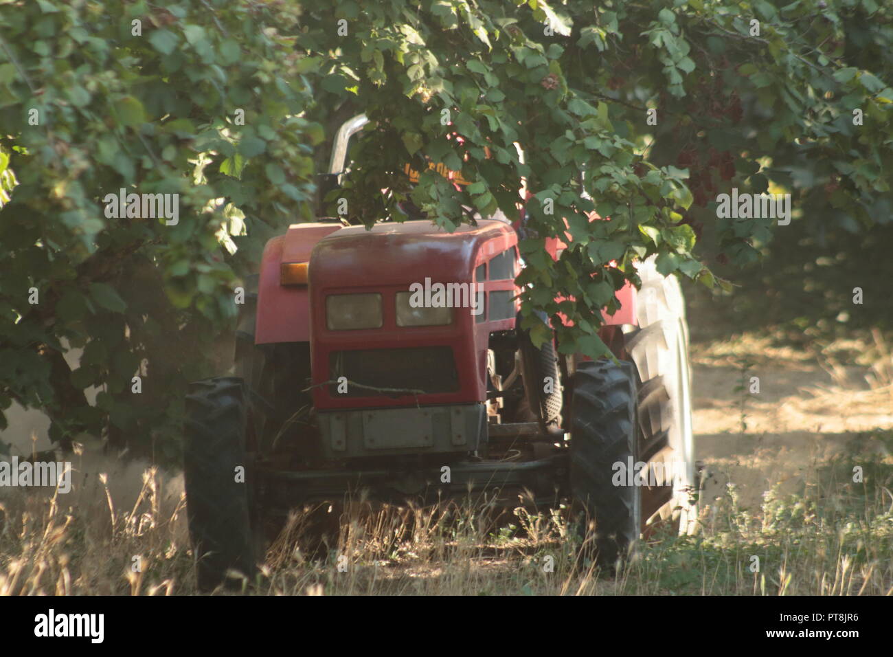 Williger Junge, der auf seinem Feld am Traktor arbeitet und Vorkehrungen zum Schutz seiner Lunge trifft Stockfoto