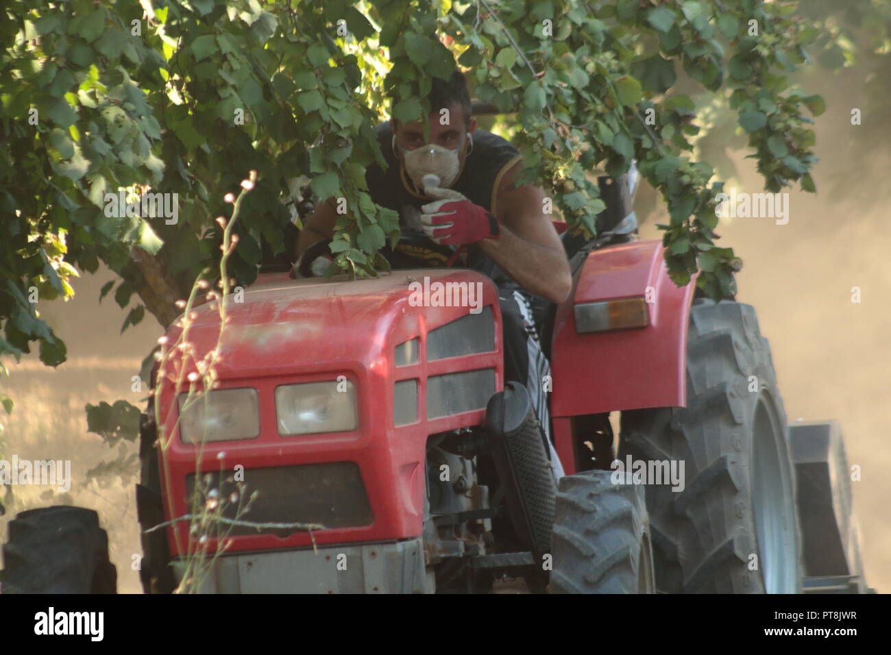 Williger Junge, der auf seinem Feld am Traktor arbeitet und Vorkehrungen zum Schutz seiner Lunge trifft Stockfoto