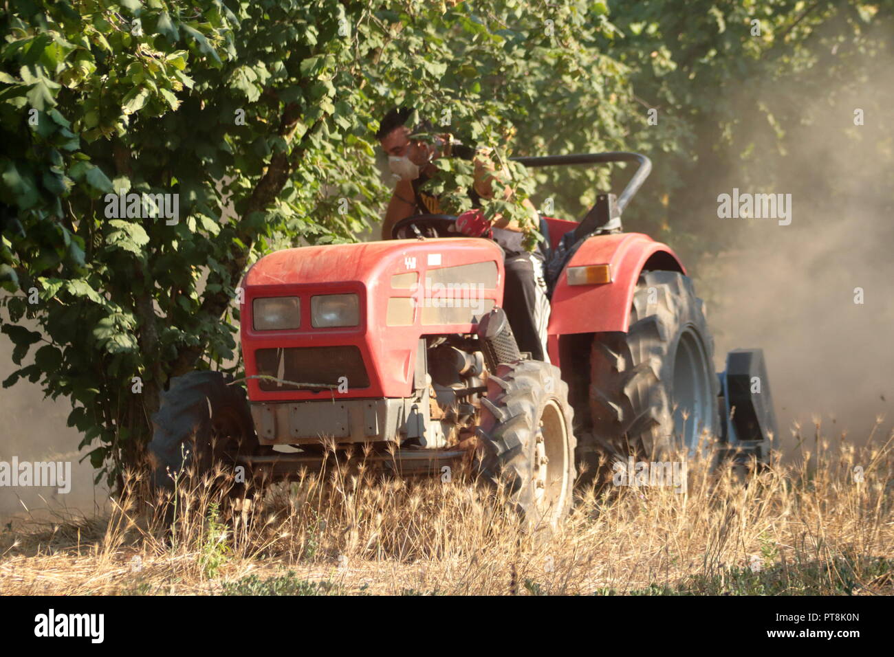 Williger Junge, der auf seinem Feld am Traktor arbeitet und Vorkehrungen zum Schutz seiner Lunge trifft Stockfoto