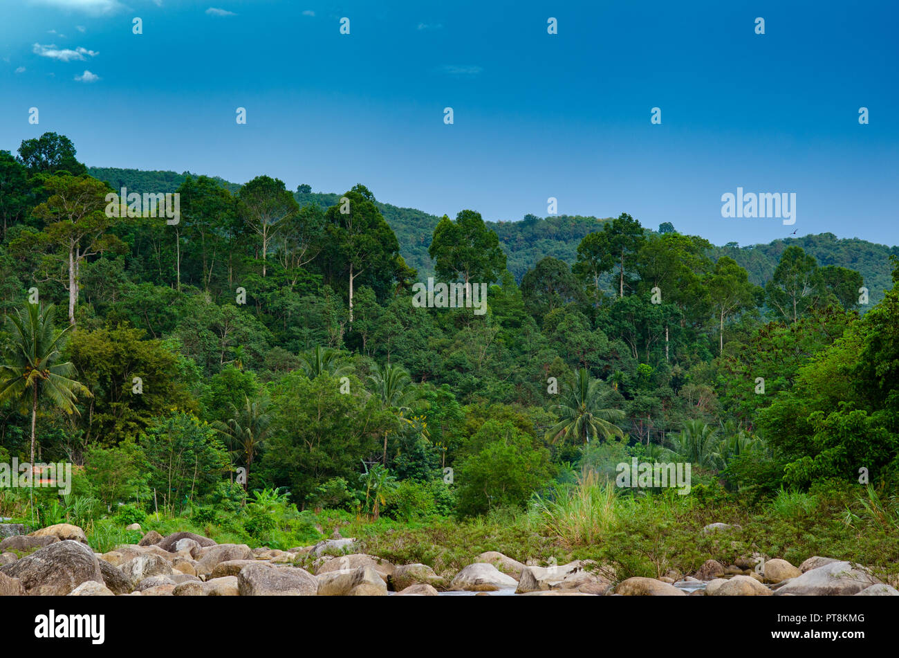 Wald khiriwong Landschaft der kleinen Fluss und schöne Sonnenuntergang Keeree Wong Verbot Khiri Wong Dorf Nakhon Si Thammarat Thailand Stockfoto