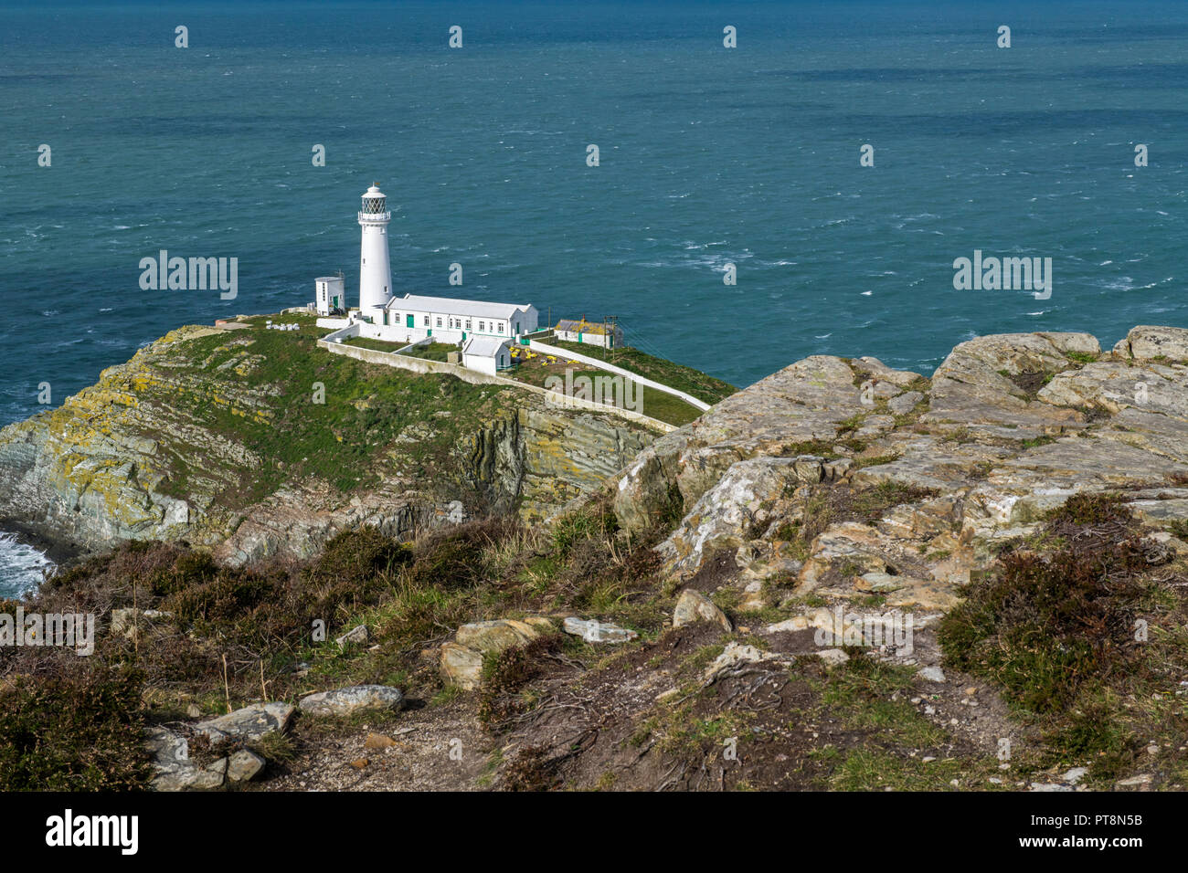 South Stack Leuchtturm heilige Insel Anglesey Stockfoto