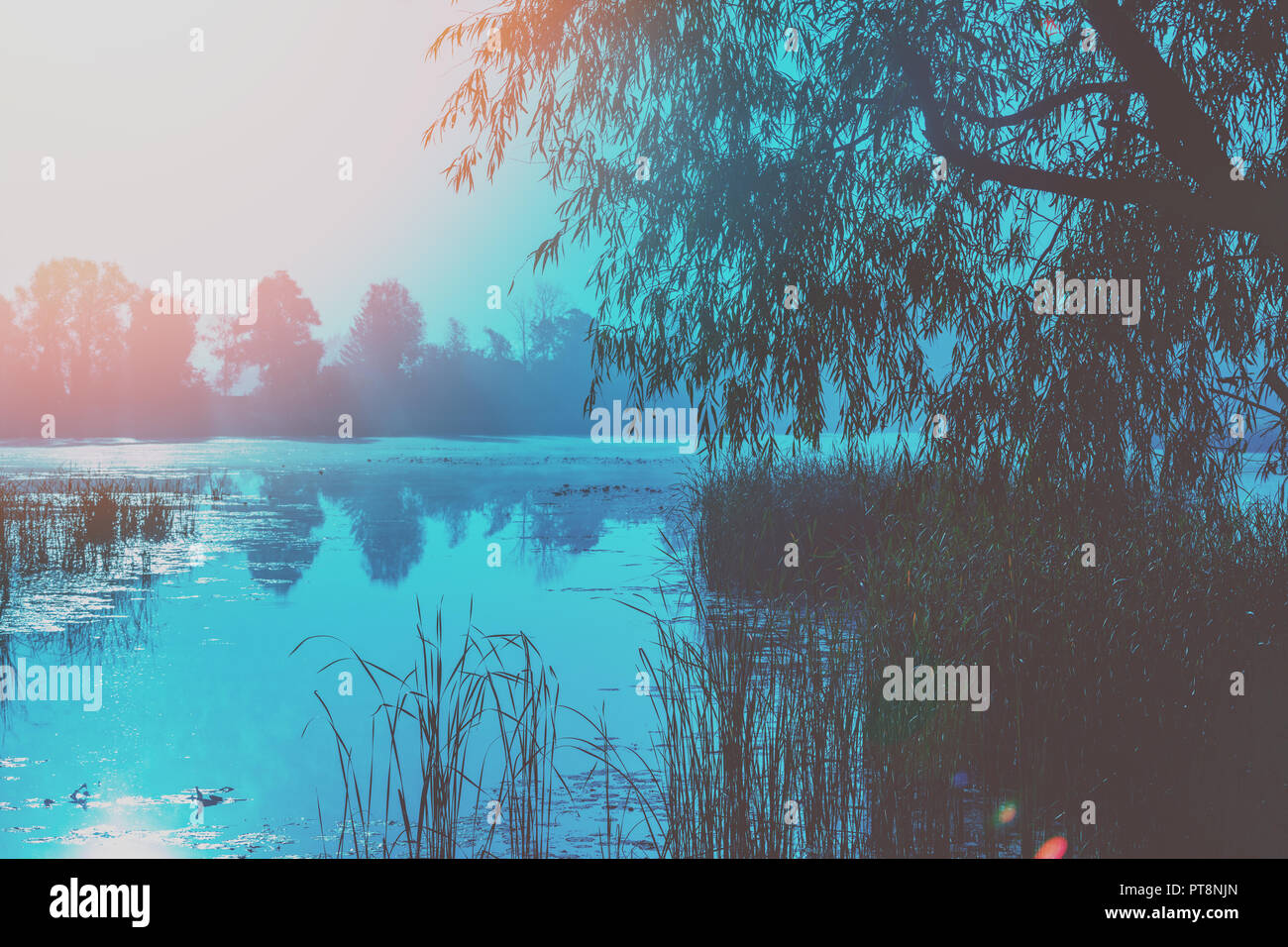 Am frühen Morgen, Sonnenaufgang über dem See. Landwirtschaftliche Landschaft Stockfoto