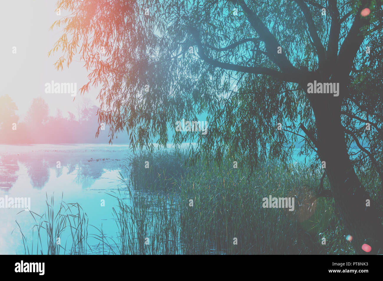 Am frühen Morgen, Sonnenaufgang über dem See. Landwirtschaftliche Landschaft Stockfoto