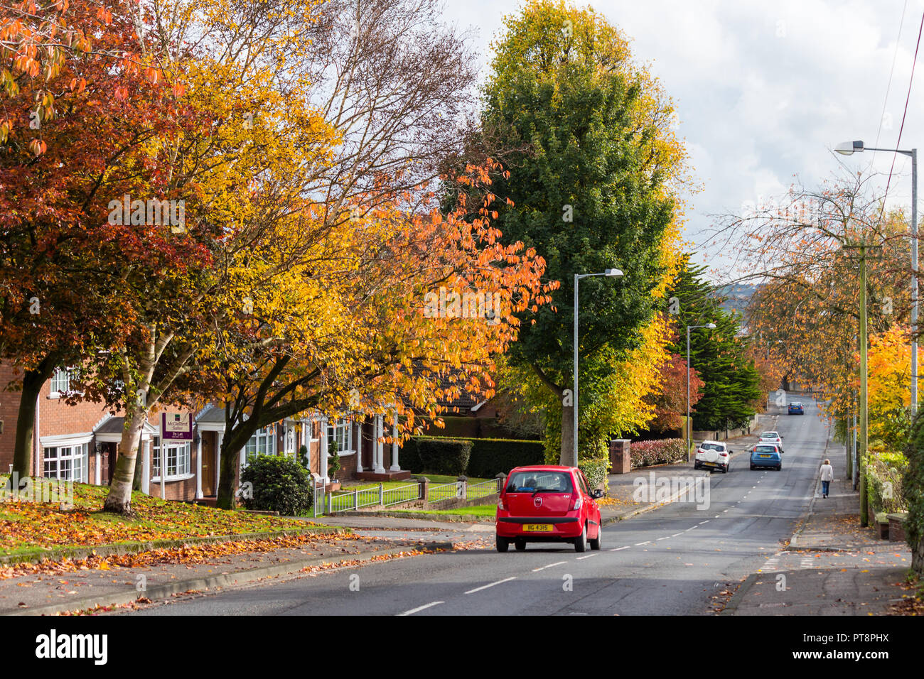 Farben des Herbstes auf einer mit Bäumen gesäumten Straße. Pond Park Road, Lisburn, Nordirland. Stockfoto