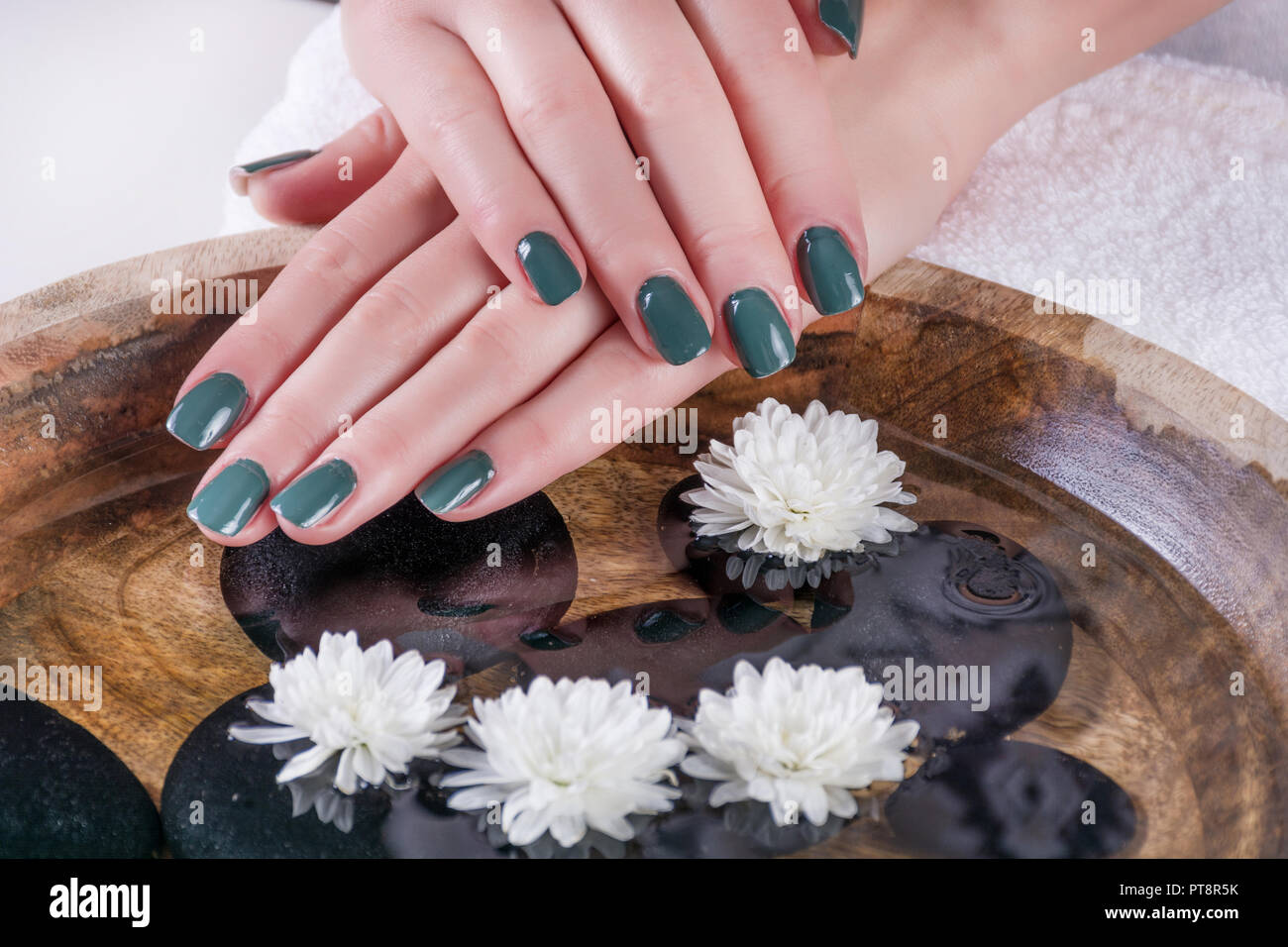 Olive Color Gel Nägel polnischen Maniküre auf Mädchen Hände über Wasser mit weißen Blüten und schwarzen Deko Steine in Houten. Maniküre und Schönheit Stockfoto