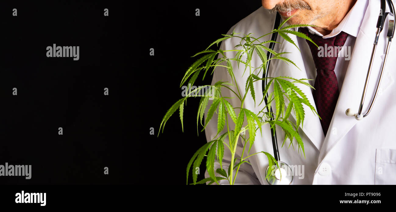 Arzt holding Marihuana Blätter gegen den dunklen Hintergrund Stockfoto