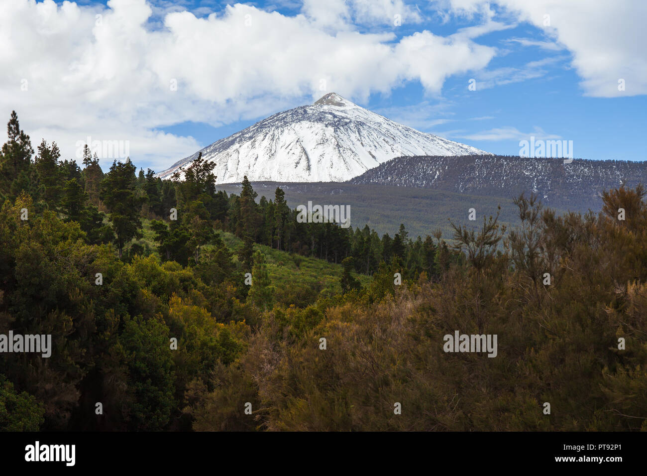 Malerische Aussicht auf Schnee Vulkan Berg El Teide und Nadelholz forestin im Winter. Natur Landschaft Hintergrund Stockfoto