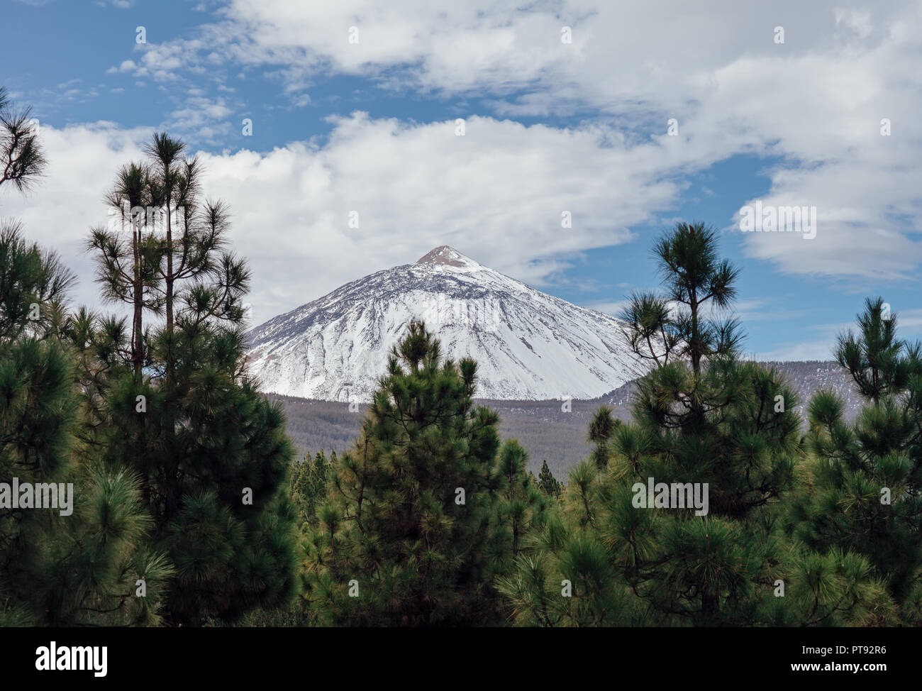 Malerische Aussicht auf Schnee Vulkan Berg El Teide und Nadelholz forestin im Winter. Natur Landschaft Hintergrund Stockfoto
