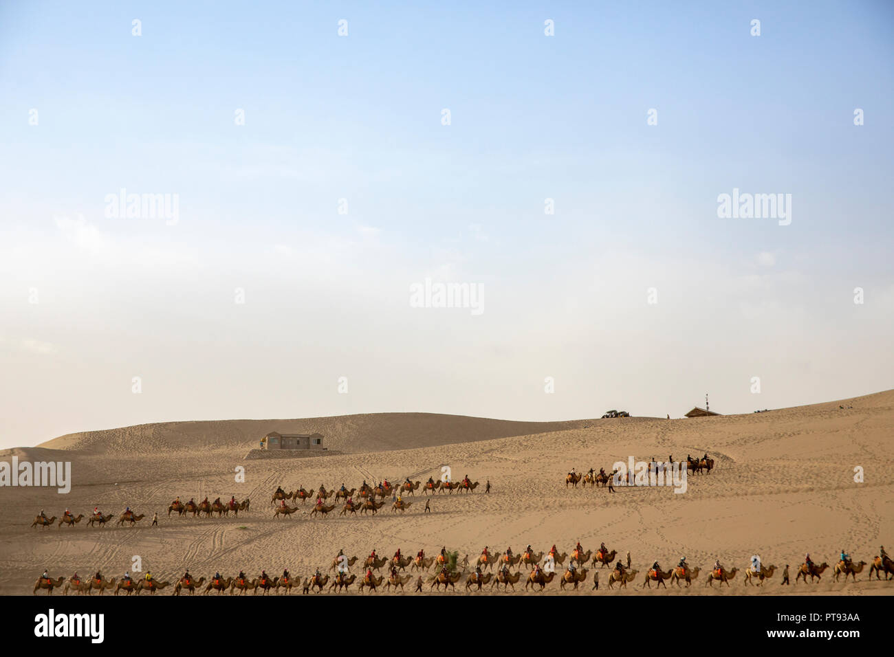 Dunhuang, Gansu, China - 12. September 2018: Kamelreiten singen Sand Mountain Dünen der Wüste Taklamakan, Shenzhen, China. Stockfoto