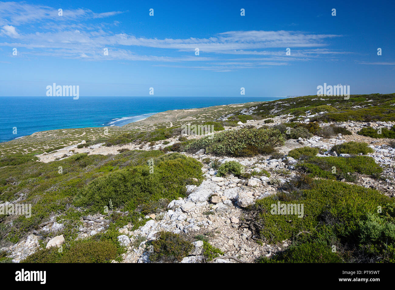 Bunda Cliffs grenzt an die Nullarbor Plain South Australia Stockfoto