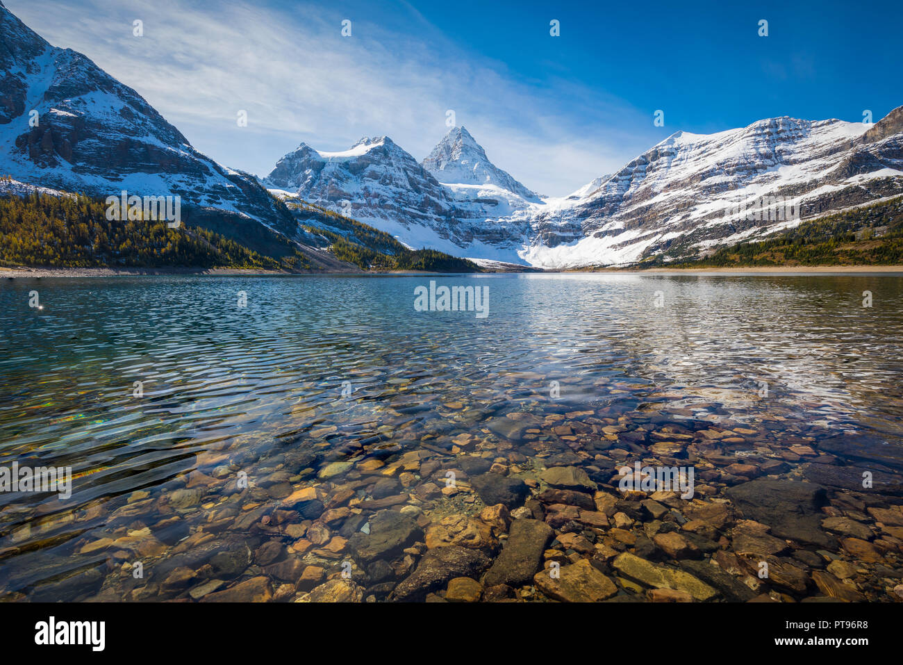 Mount Assiniboine Assiniboine, auch als Berg bezeichnet, ist eine pyramidenförmige Spitze Berg auf der großen Teilen entfernt, auf der British Columbia/Alberta borde Stockfoto