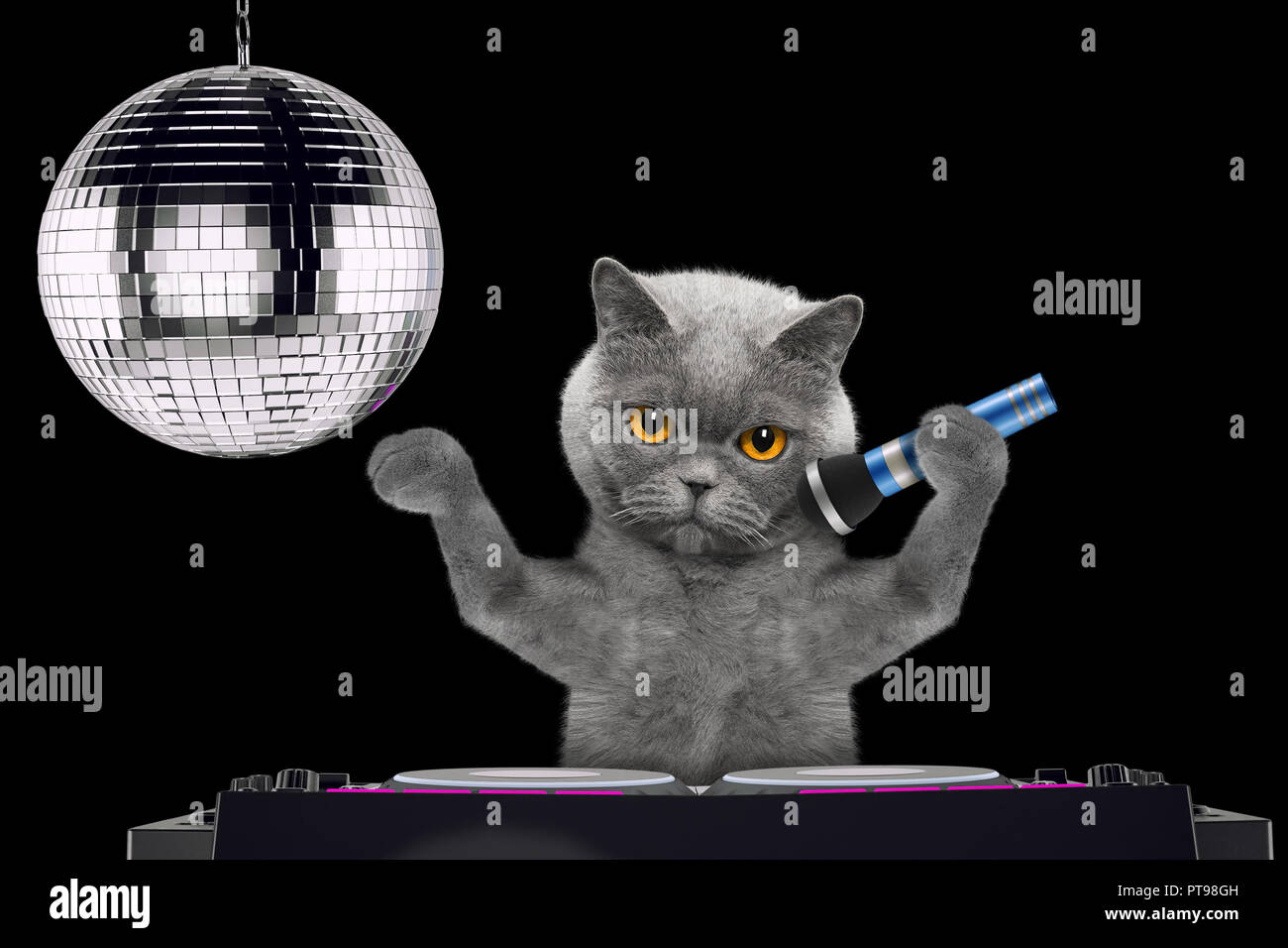 Süße Katze Singen mit Mikrofon ein Karaoke Song in einem Nachtclub - isoliert auf Schwarz Stockfoto