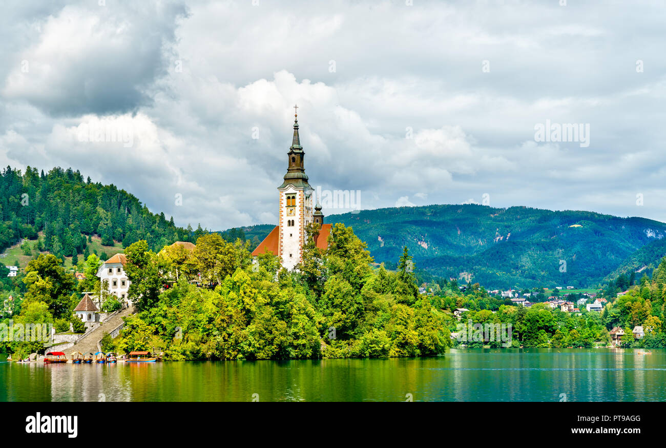 Kirche der Himmelfahrt der Maria auf der Insel Bled in Slowenien Stockfoto