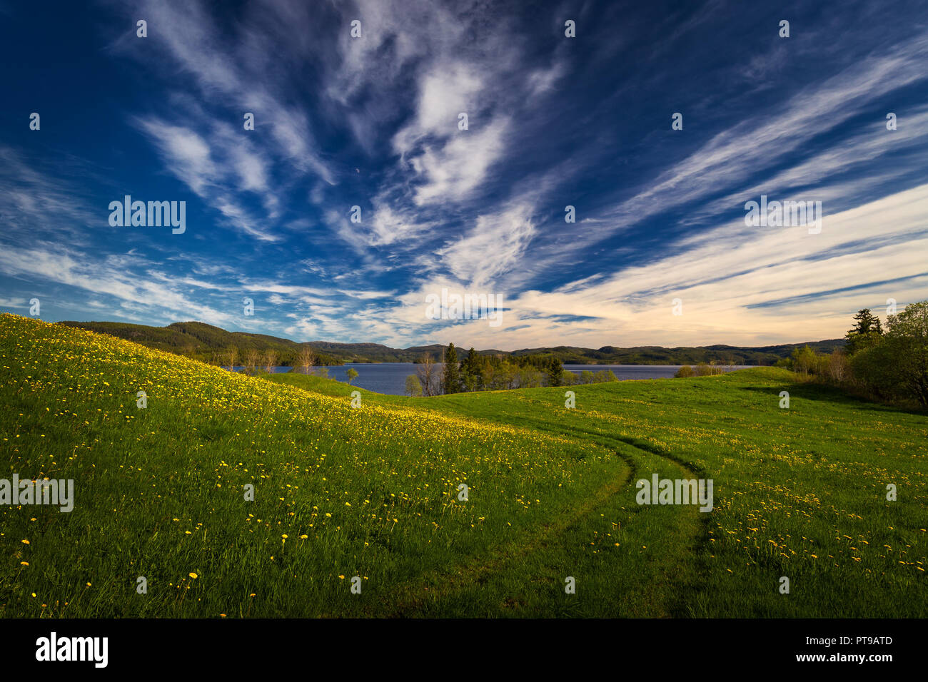 Frühling am Ufer des Jonsvatnet See in der Nähe von Trondheim, Norwegen Stockfoto