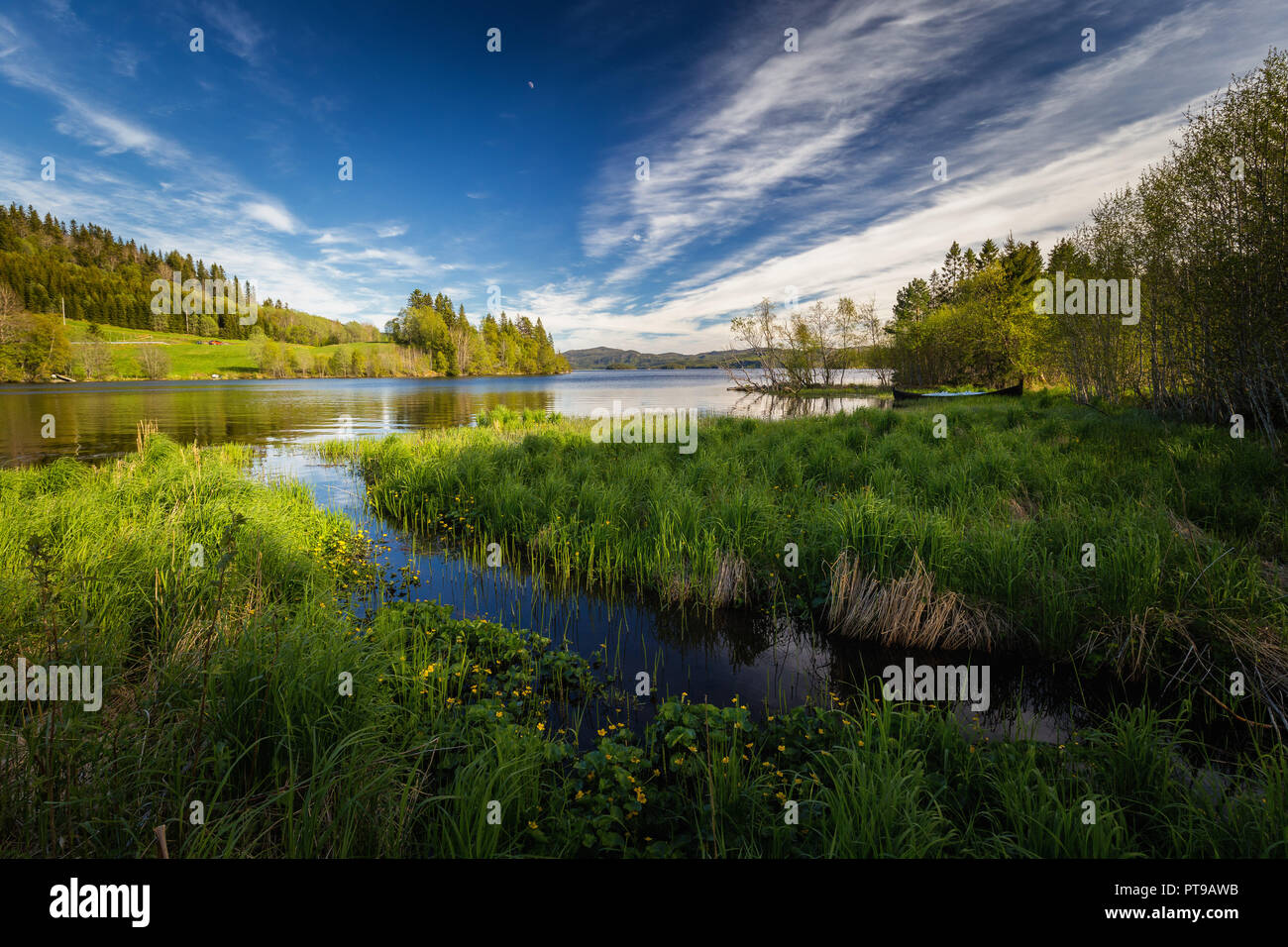 Frühling am Ufer des Jonsvatnet See in der Nähe von Trondheim, Norwegen Stockfoto