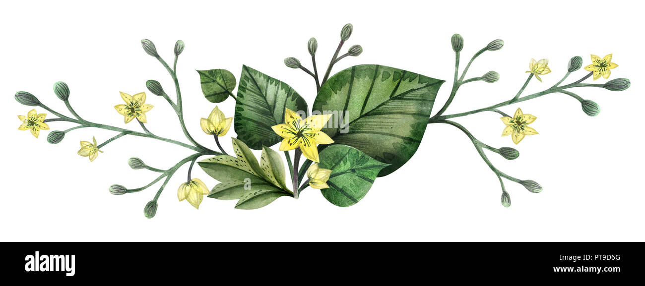Wiese Pflanzen Handgemalten Aquarell Schlagzeile oder vingettes endet. Blumen und Zweige und Blätter auf einem weißen Hintergrund. Isoliert, Pfad enthalten. Stockfoto