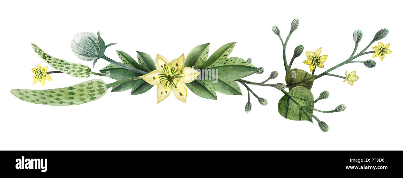 Wilde Pflanzen Handgemalten Aquarell Schlagzeile oder vingettes endet. Blumen und Zweige und Blätter auf einem weißen Hintergrund. Isoliert, Pfad enthalten. Stockfoto