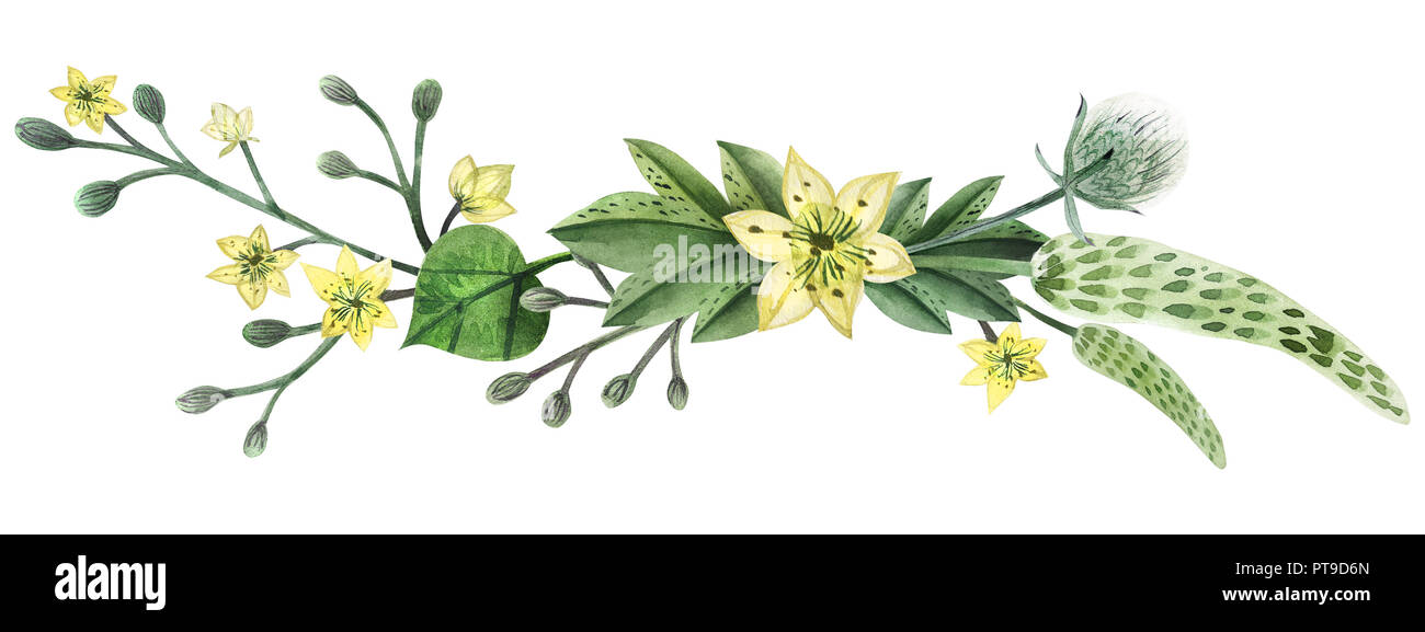 Wilde Pflanzen Handgemalten Aquarell Schlagzeile oder vingettes endet. Blumen und Zweige und Blätter auf einem weißen Hintergrund. Isoliert, Pfad enthalten. Stockfoto