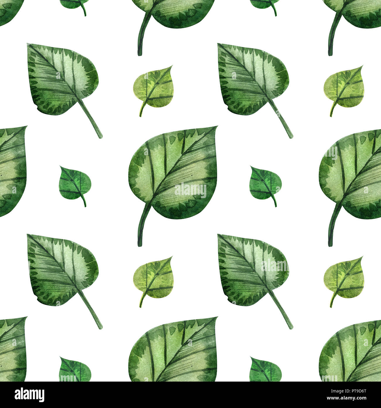 Wilde Pflanzen Handgemalten Aquarell. Nahtlose Muster auf weißem Hintergrund. Pfad enthalten. Stockfoto