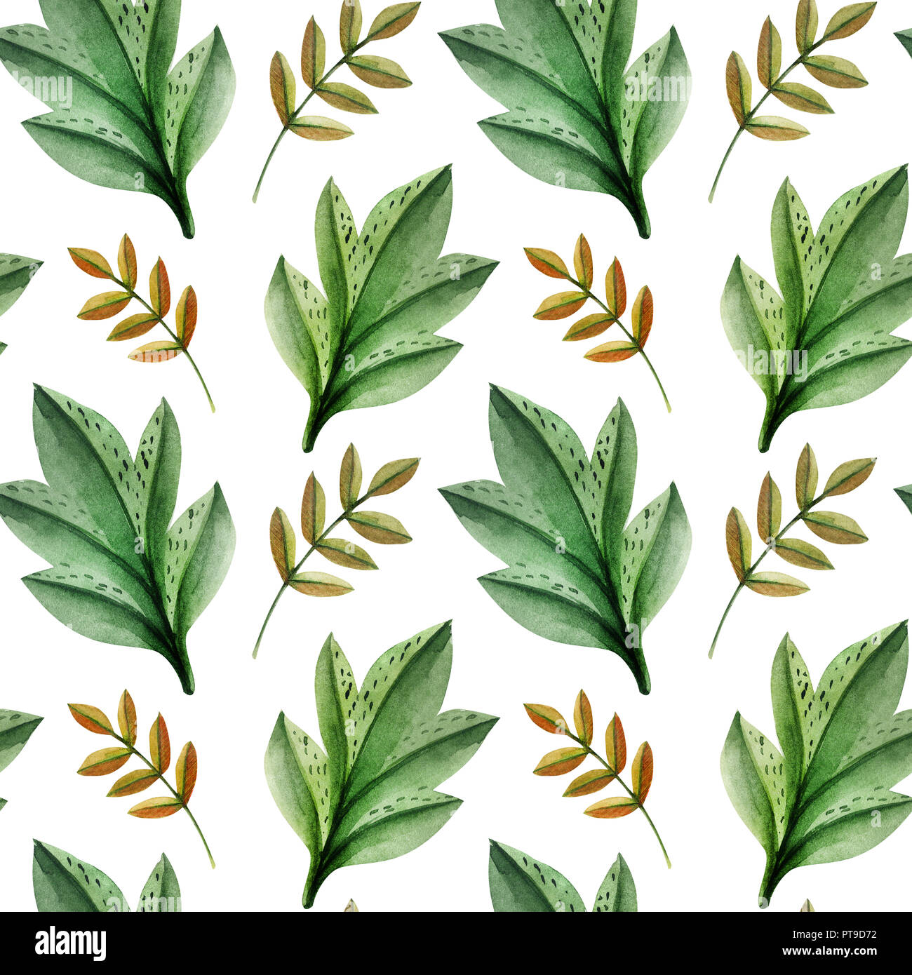 Wilde Pflanzen Handgemalten Aquarell. Nahtlose Muster auf weißem Hintergrund. Pfad enthalten. Stockfoto