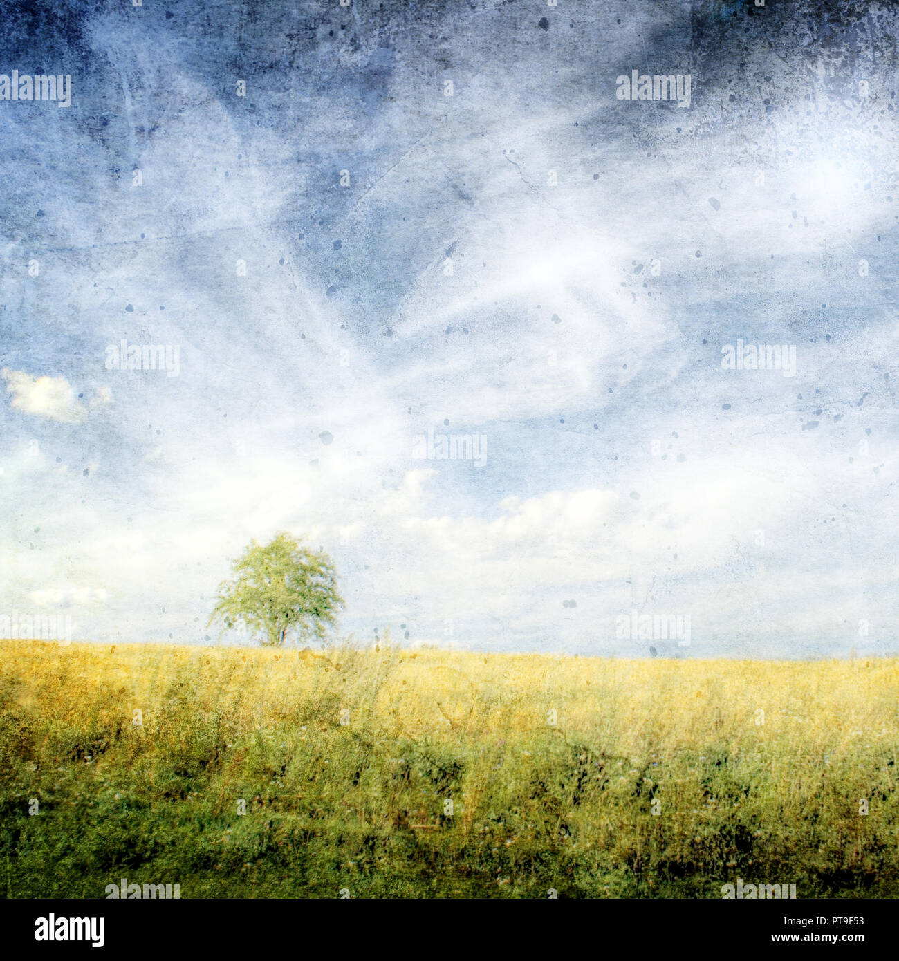 Sommer Landschaft - Weizenfeld und blauer Himmel mit Wolken - Vintage Style Stockfoto