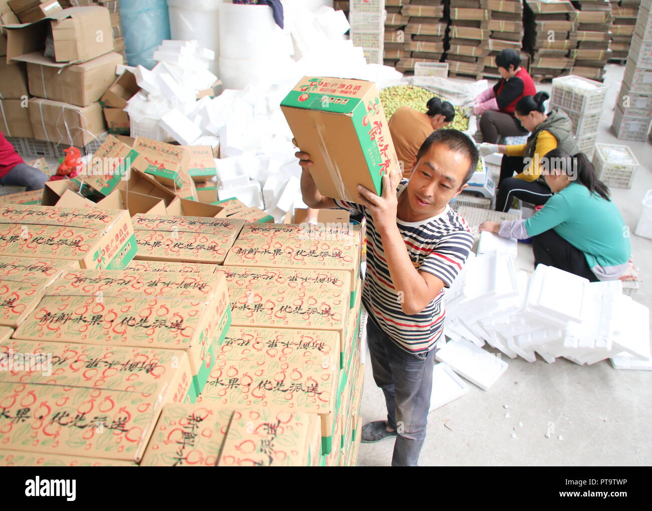 Binzhou, der chinesischen Provinz Shandong. 8. Oktober, 2018. Mitarbeiter sortieren Winter jujubes auf einem e-Business Sales Center unter Zhanhua Xiawa Stadt im Stadtbezirk, im Osten der chinesischen Provinz Shandong, Oktober 8, 2018. Credit: Jia Haining/Xinhua/Alamy leben Nachrichten Stockfoto