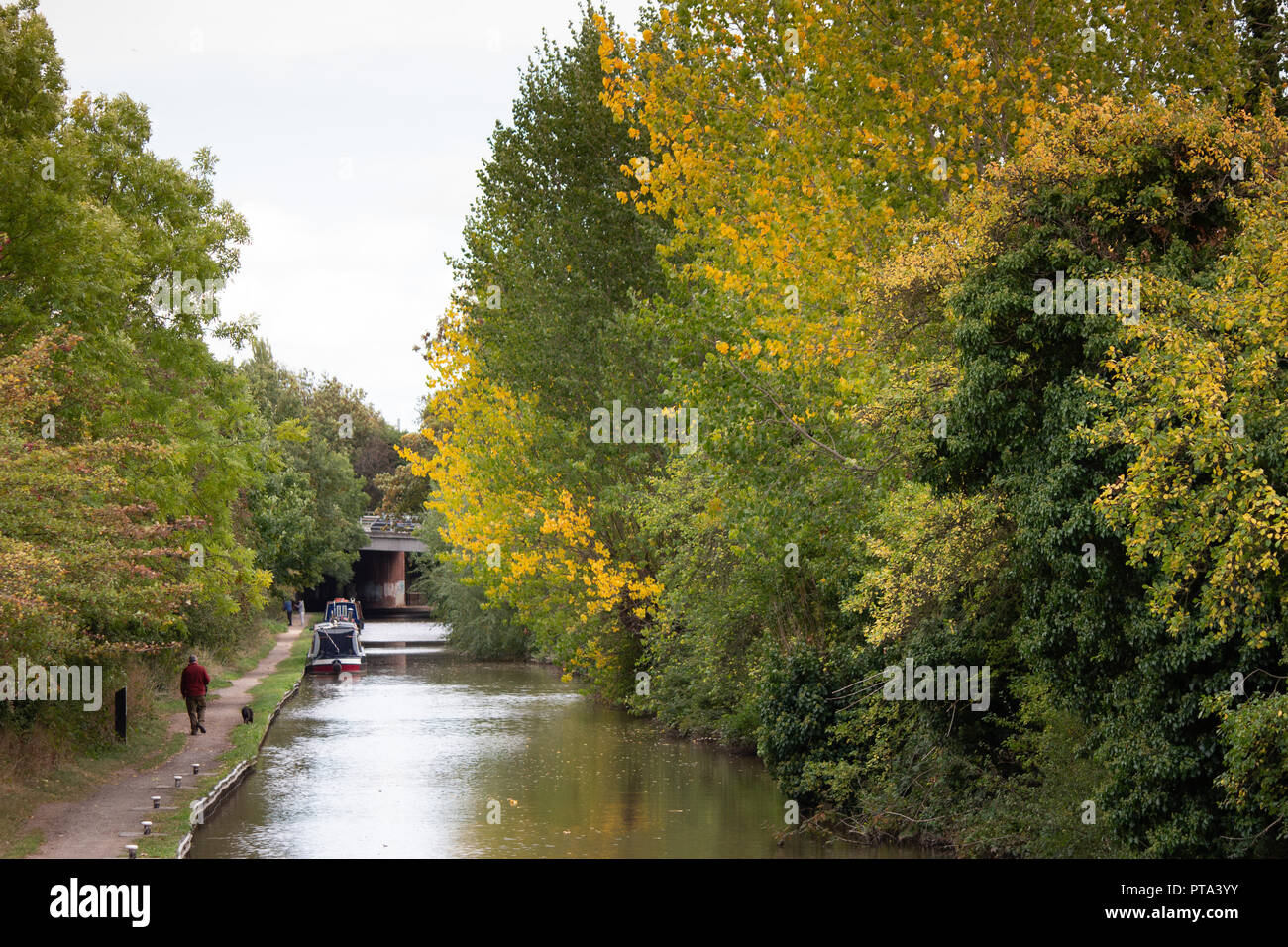 Der Coventry Canal in Atherstone, North Warwickshire, England. Ein Mann, der seinen Hund entlang des Kanals in der Nähe von Atherstone Stadtzentrum. Stockfoto