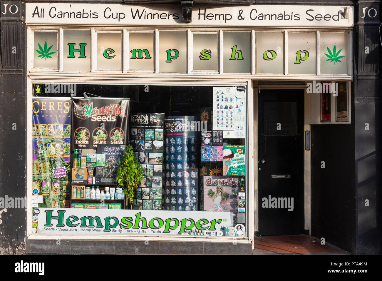 Ein Geschäft mit Hanf und Cannabis samen Produkte in Amsterdam, Niederlande Stockfoto