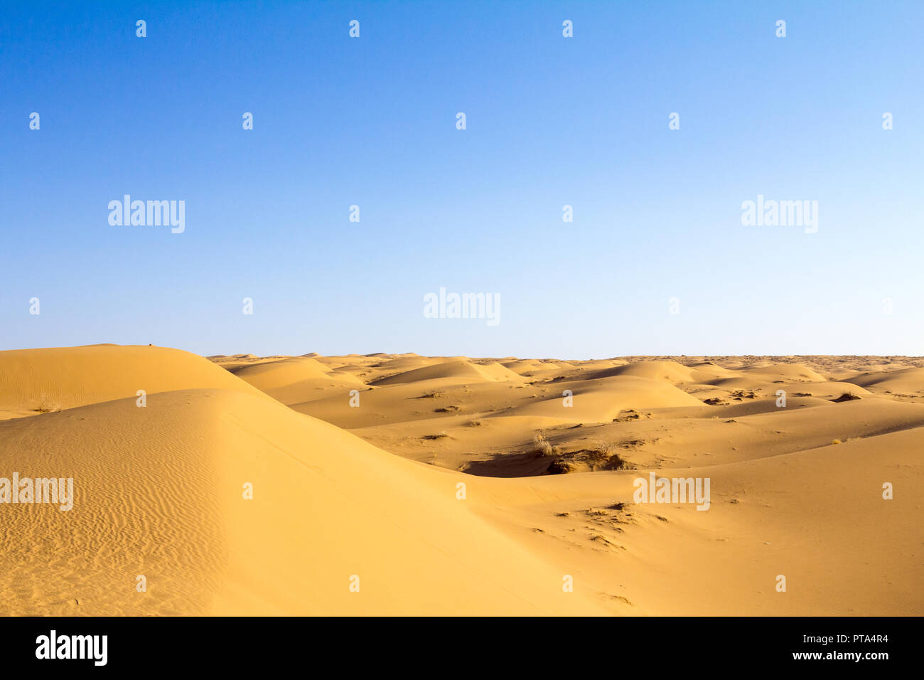 Sanddünen in der Wüste, in der Nähe von Maranjab Kashan, Iran, bei Sonnenuntergang bei einem warmen Sommernachmittag. Maranjab Wüste ist eine der wichtigsten Sehenswürdigkeiten von der Re Stockfoto