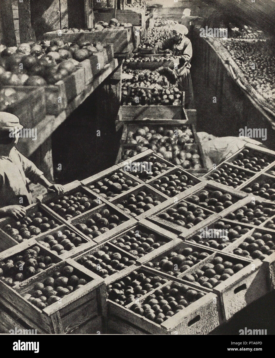 Die rote Gärtner Kolchose. Abbildung aus der UDSSR baut Sozialismus, 1933. Schöpfer: Lissitzky, El (1890-1941). Stockfoto