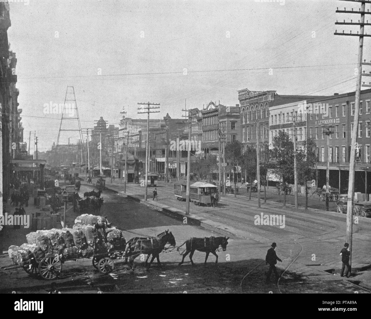 Canal Street, New Orleans, Louisiana, USA, c 1900. Schöpfer: Unbekannt. Stockfoto