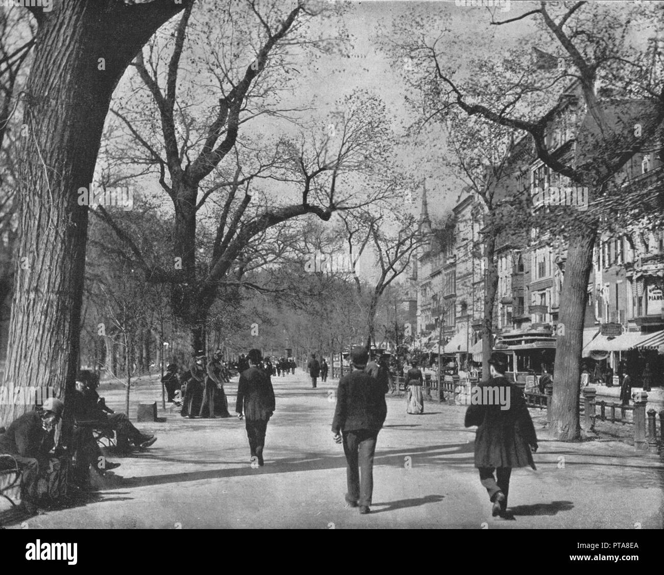 Tremont Street und der "gemeinsamen", Boston, USA, c1900. Schöpfer: Unbekannt. Stockfoto