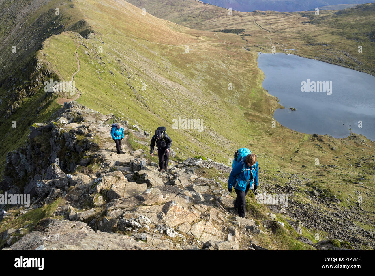 Drei Wanderer auf Swirral Edge mit Red Tarn below, Helvellyn, Lake District, Cumbria, Großbritannien. Stockfoto
